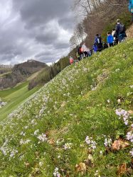 Erlebnispadagogische Tage Losenstein 1a   2024 04 03 05   50